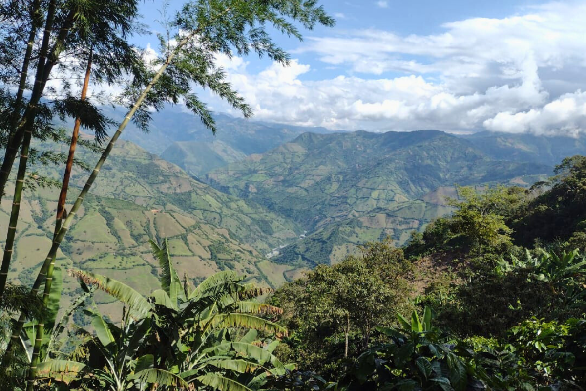 Diseño sin título (12)