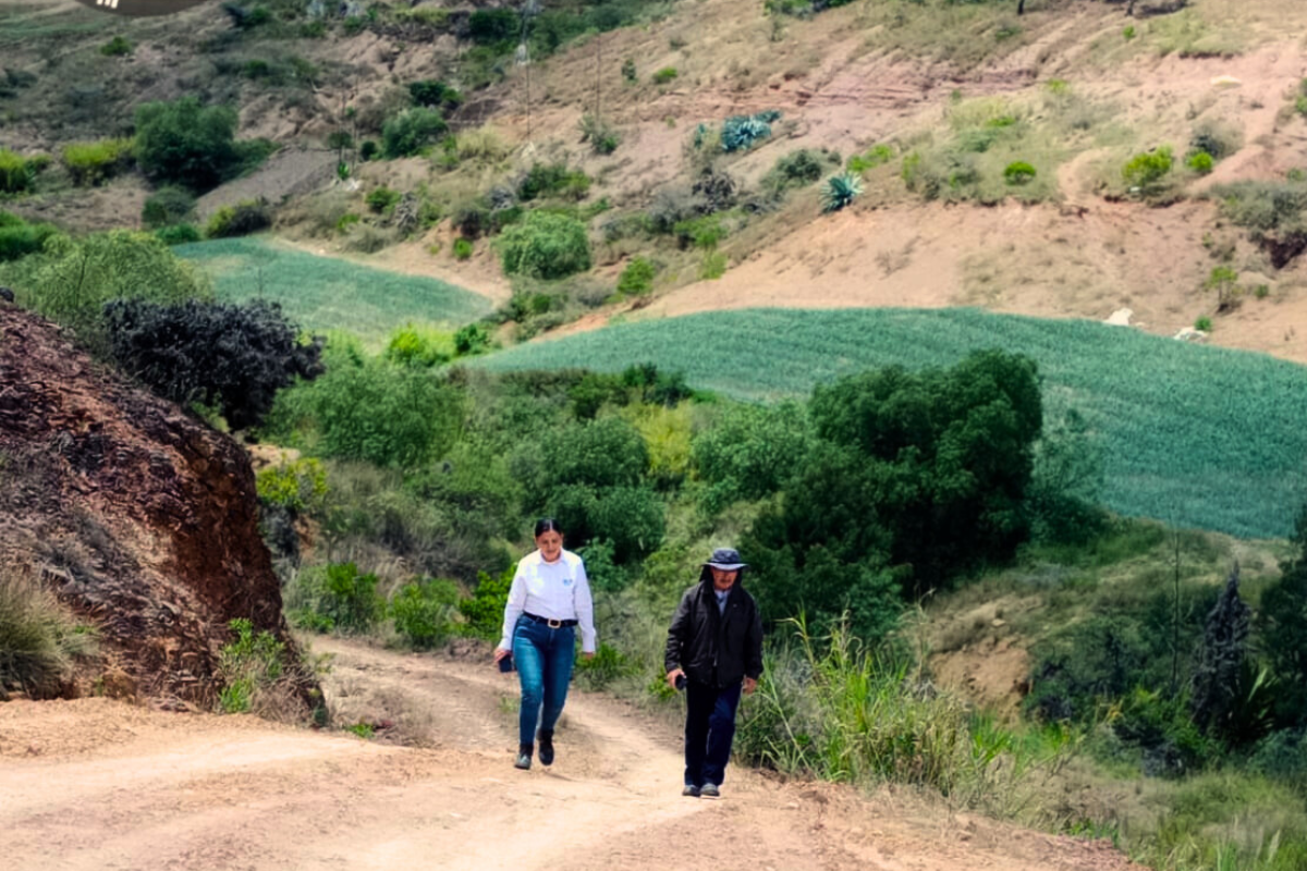 Diseño sin título (2)